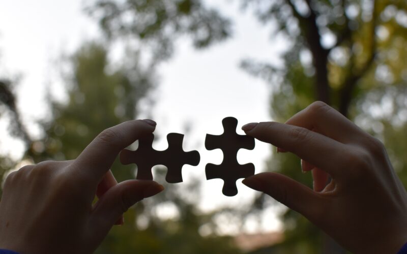 A person holding two pieces of a puzzle photo